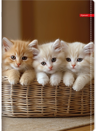 Set bilježnica Ilijanum Pets, A4 linije, 52 listova, meki uvez, 10 KOM