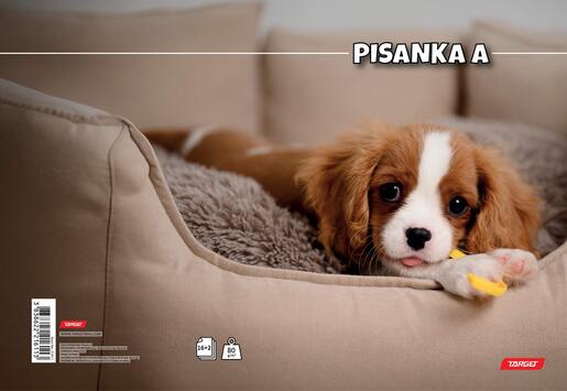 Pisanka A TARGET, B5 linije, 16 listova, meko izdanje
