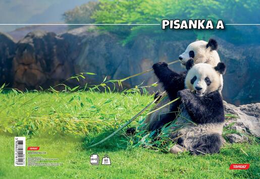 Pisanka A TARGET, B5 linije, 16 listova, meko izdanje