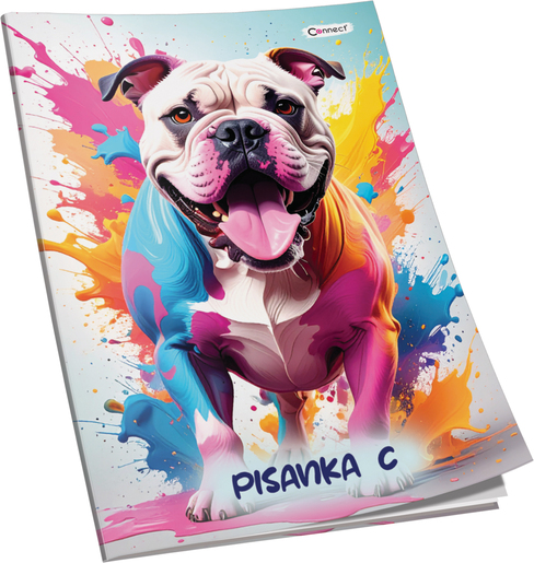 Pisanka C Connect Girl+ Soft, B5 linije, 32 listova, meki uvez