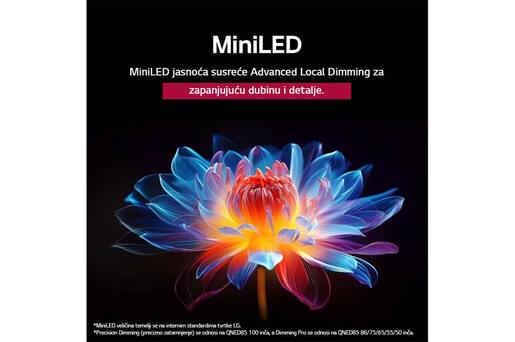 LG 65" QNED AI TV 65QNED87A3B, 4K UHD, webOS Smart TV, VRR&ALLM, HDR10 Pro