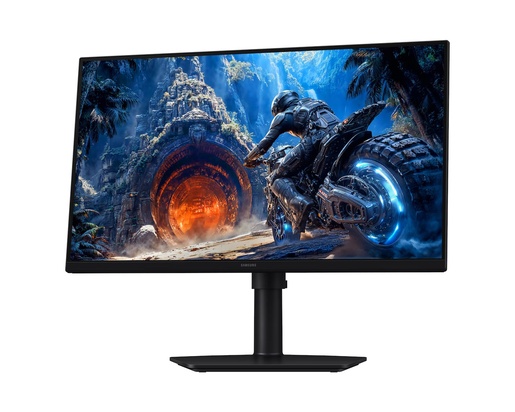 Samsung 25" gaming monitor Odyssey G4 G40H LS25HG402EUXEN, FHD, 300Hz, IPS