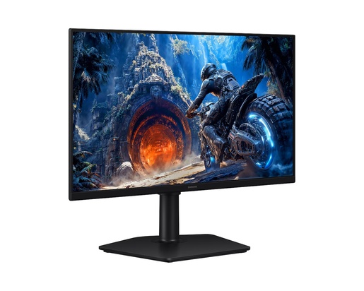 Samsung 25" gaming monitor Odyssey G4 G40H LS25HG402EUXEN, FHD, 300Hz, IPS
