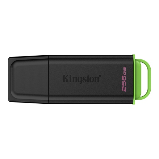 USB memorija Kingston DataTraveler Exodia DTXG2/256GB