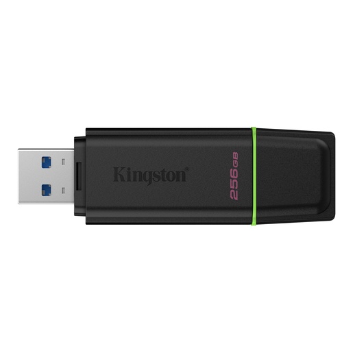 USB memorija Kingston DataTraveler Exodia DTXG2/256GB
