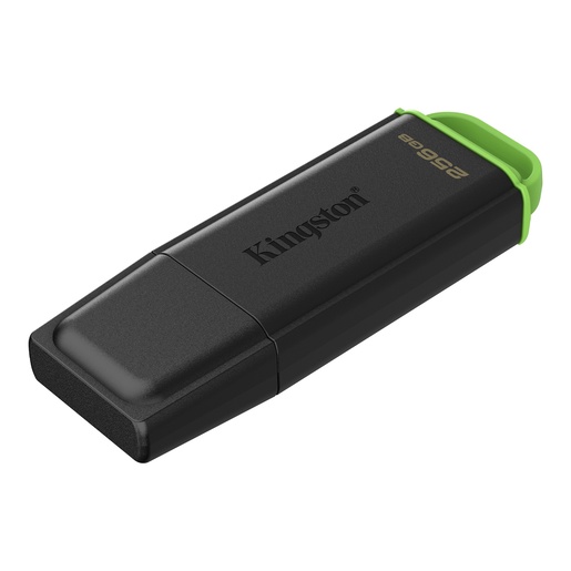 USB memorija Kingston DataTraveler Exodia DTXG2/256GB