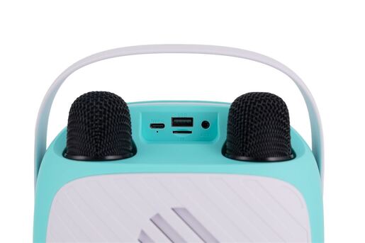 VIVAX VOX BT karaoke BS-20 Duo Green