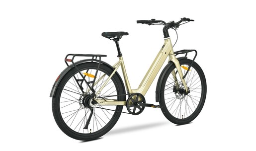 MS ENERGY eBike Zorya bronze