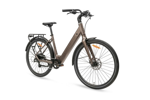 MS ENERGY eBike Zorya bronze