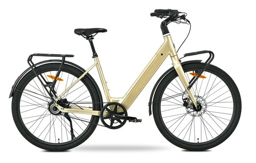 MS ENERGY eBike Zorya Plus Silver Gold