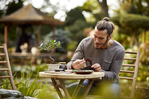 LEGO Creator Expert Bonsai drvo 10281 RA