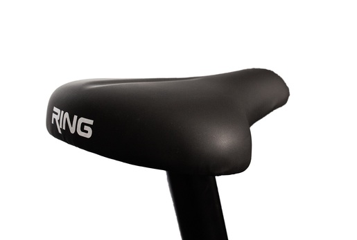 RING sobni bicikl RX 117 RA