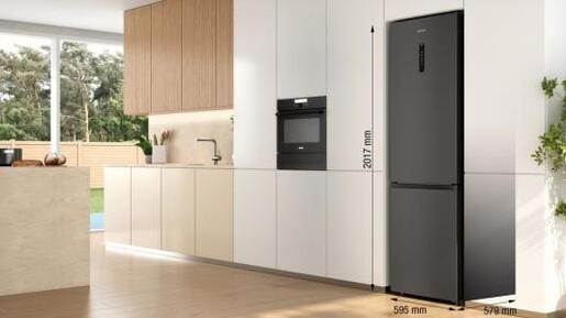 Gorenje hladnjak NRK620AABXL4 RO
