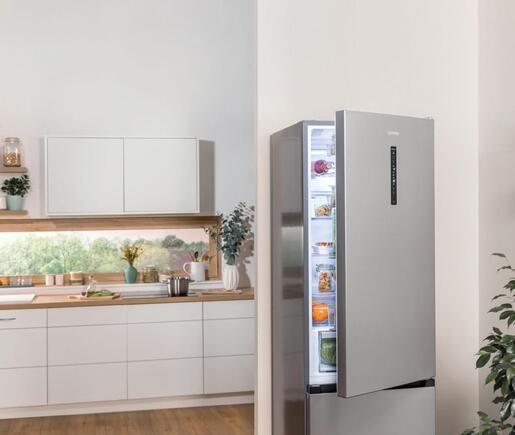 Gorenje hladnjak NRC619CSXL4WF RO