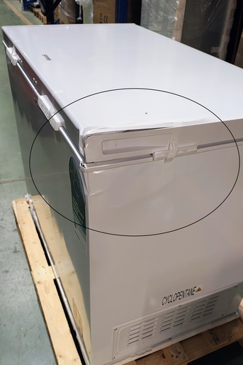 Gorenje zamrzivač FH30EAW RO