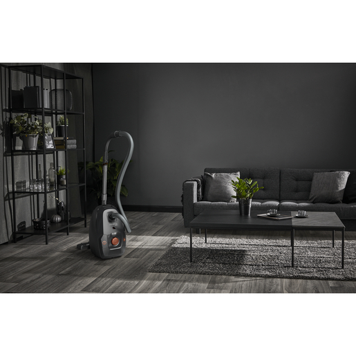 Rowenta usisivač RO6164EA RA