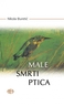 MALE SMRTI PTICA, Nikola Đuretić