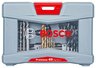 BOSCH 49 komadni Premium set svrdla i bitova