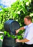 ROTO BARIK 100L, bačva za vino