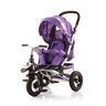 Chipolino tricikl Polar - Amethyst RT