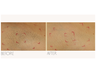 SmoothSkin Bare + IPL odstranjivač dlačica crni*r_ambalaža_TPNJ