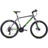 CAPRIOLO bicikl MTB OXYGEN 29'/21HT silver/green RS