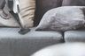 Hoover usisavač H-FREE 300 HF322AFP 011