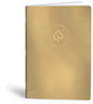 Bilježnica Precious metals, A4 linije, 40 listova, meki uvez