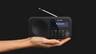 SHARP radio uređaj DR-P420, DAB+, DAB, FM, BT, RDS, rozi