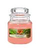 Yankee Candle mirisna svijeća, Small, The Last Paradise