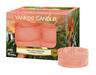 Yankee Candle mirisna svijeća, Tea Lights 12/1, The Last Paradise