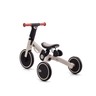 Kinderkraft Tricikl 4TRIKE, Silver Grey