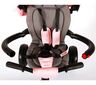 Tricikl Qplay Prime 4u1, rozi