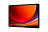 Samsung Galaxy Tab S9+, WiFi, 12GB/256GB, sivi, tablet