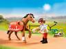 Playmobil Connemara poni 70516