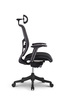 Ergovision Erg Pro, uredska stolica, crna