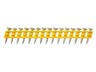 Dewalt čavli 2,6 X 30mm - DCN8901030 - za DCN890 - 1005 komada