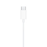 Apple EarPods s USB-C priključkom (mtjy3zm/a)