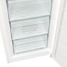 Gorenje zamrzivač FN619EEW5