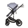 Chipolino kolica Amore Ash Grey