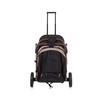 Chipolino kolica Combo Golden Beige