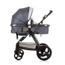 Chipolino kolica Havana 3u1 Silver Grey