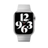 Apple zamjenski remen za Apple Watch 42mm - Link Bracelet