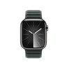 Apple zamjenski remen za Apple Watch 41mm - Evergreen Magnetic Link - M/L