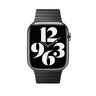 Apple zamjenski remen za Apple Watch 42mm - Space Black Link Bracelet