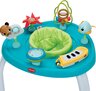 Tiny Love Stationary Activity Center 5u1 Here I Grow - Meadow Days