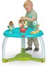 Tiny Love Stationary Activity Center 5u1 Here I Grow - Meadow Days