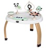 Tiny Love Stationary Activity Center 5u1 - Black & White