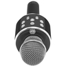 MANTA bežični mikrofon sa zvučnikom i karaoke funkcijom, crni MIC12-BK