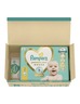 Pampers Premium Care pelene, vel. 2 (4-8 kg), 136 kom + vlažne maramice, 48 kom